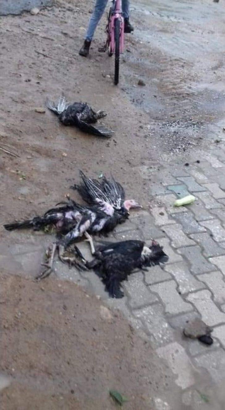 Afyonkarahisar’da Sel Felaketi Hayatı Felç Etti G2