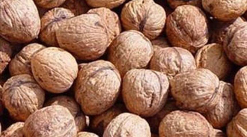 Hayatınızı kolaylaştıracak pratik bilgiler