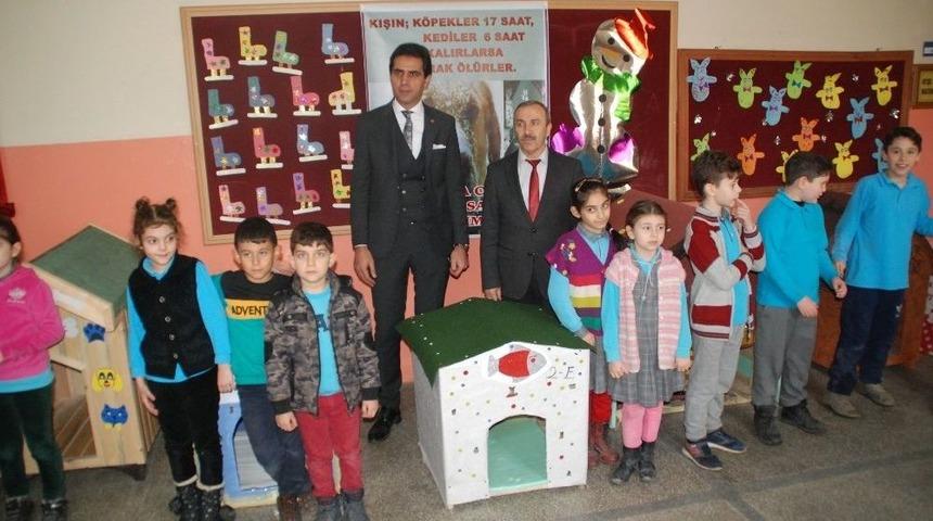 Öğrenciler, Sokak Hayvanlarına Kulübe Yaptı