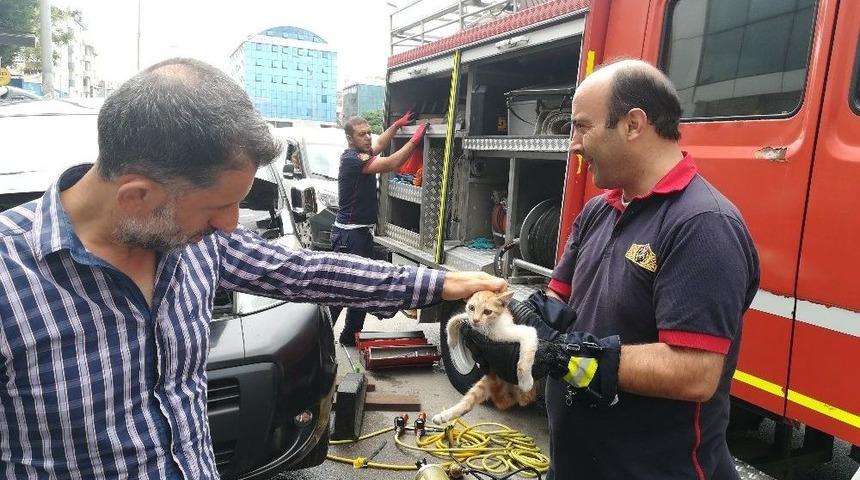 Ara&ccedil; Motoruna Sıkışan Yavru Kedi 3 Saatte Kurtarıldı