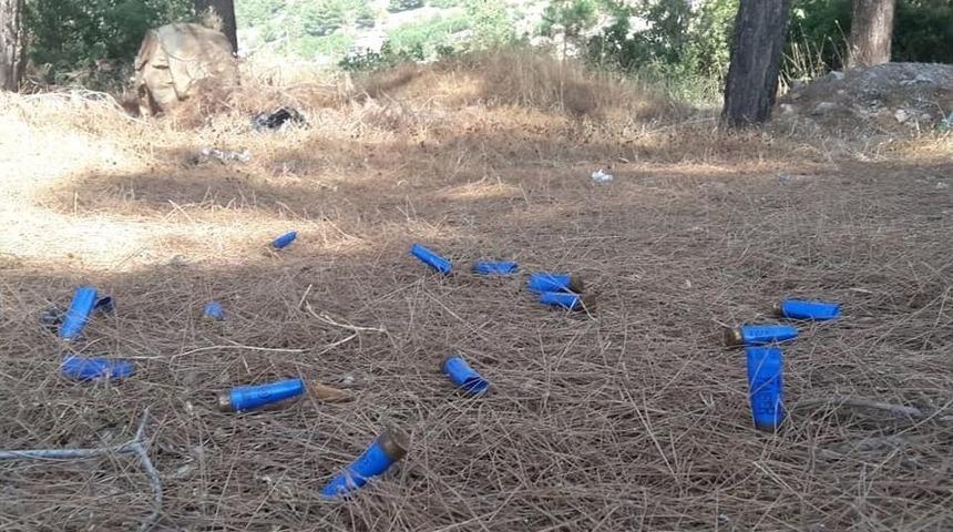 Ormanlık Alanlar &Ccedil;&ouml;pl&uuml;ğe D&ouml;nd&uuml;