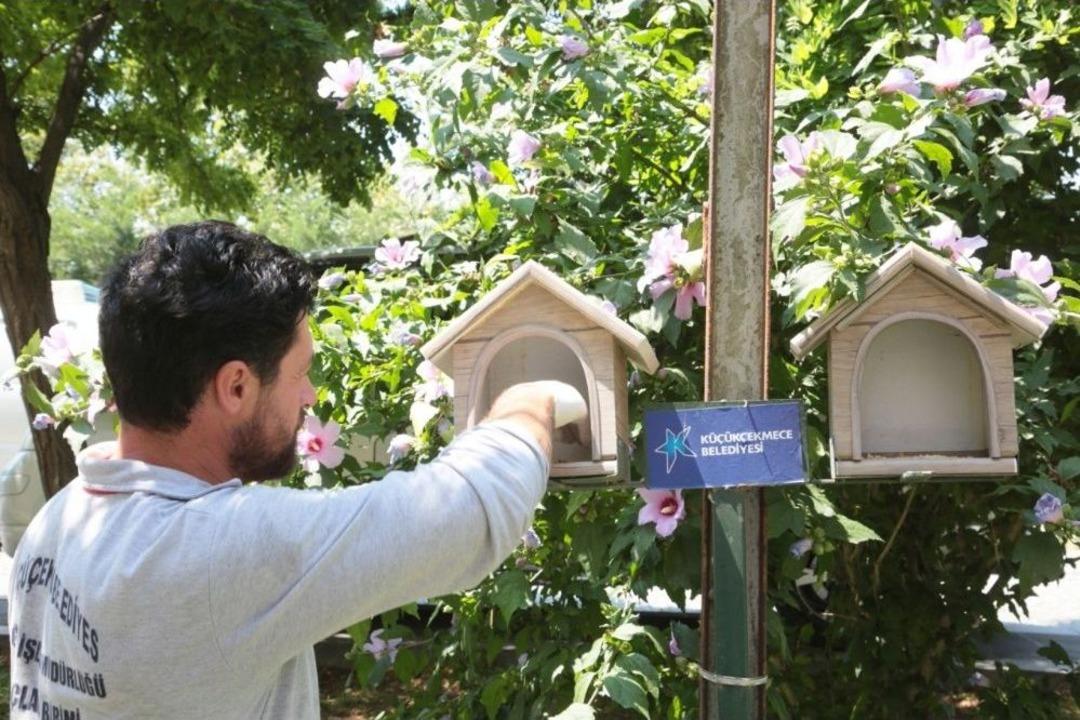 K&uuml;&ccedil;&uuml;k&ccedil;ekmece&rsquo;de Sokak Hayvanlarına Yem Ve Su Takviyesi