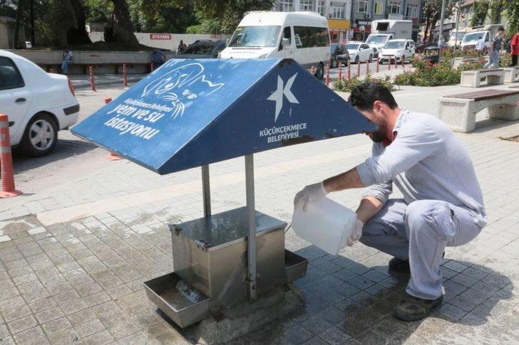 Küçükçekmece’de Sokak Hayvanlarına Yem Ve Su Takviyesi G3