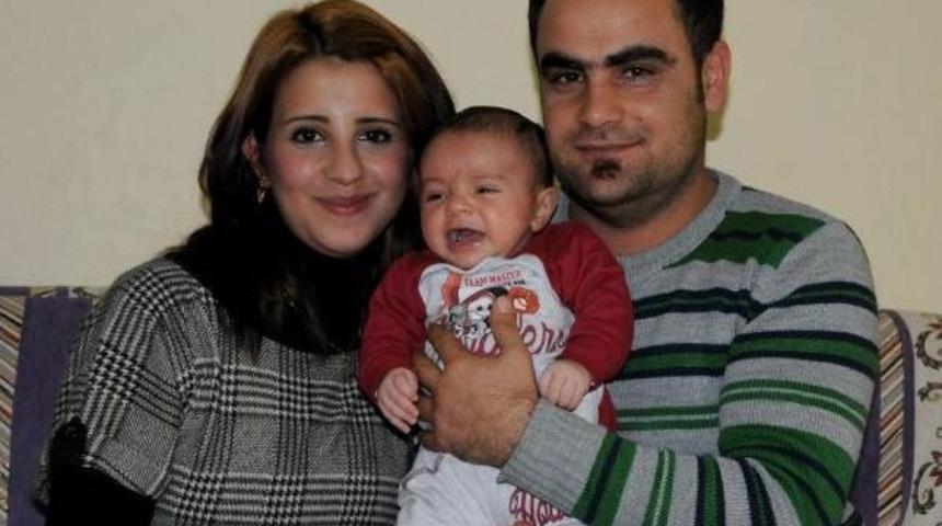 'kobani' bebek ailesine savaşı unutturdu