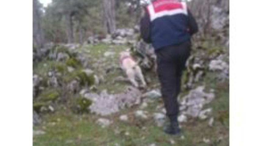 Dağda Kaybolan 5 Kişi Bulundu