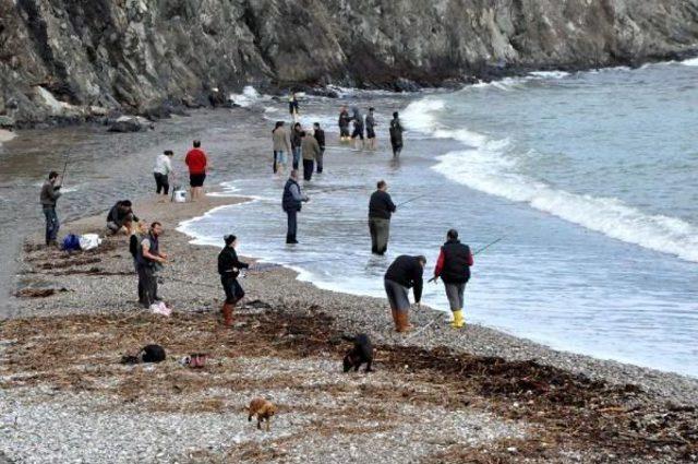 Fırtına Çiftlikteki Balıklar Denize Aktı, Oltasını Alan Sahile Koştu