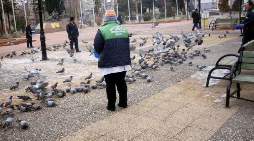 Gaziantep'te Sokak Hayvanları I&ccedil;in Beslenme Merkezi