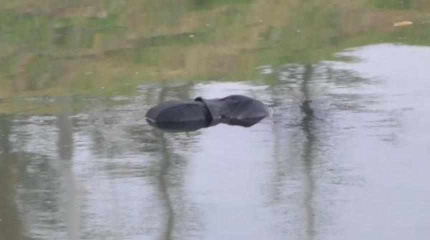 Eşiyle tartışıp evden &ccedil;ıktı, porsuk &ccedil;ayı'nda cesedi bulundu