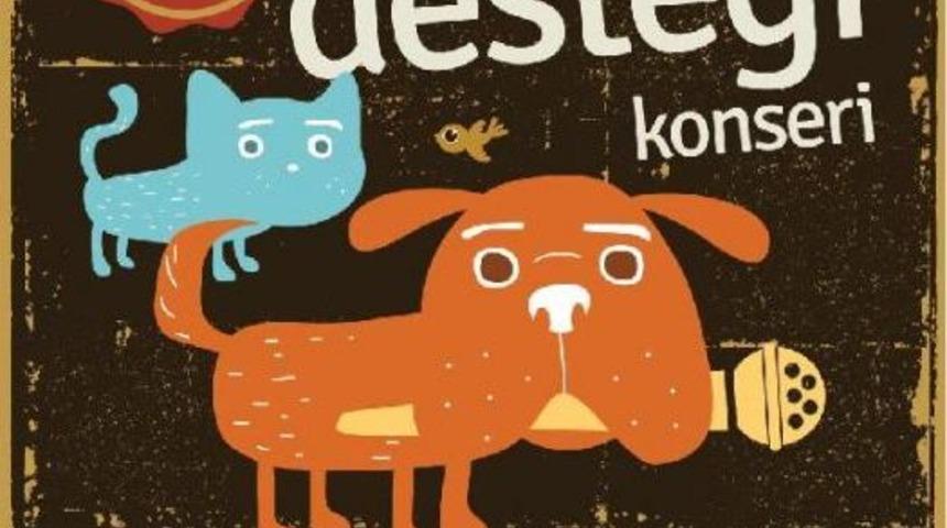 Bu Konsere Kedi Ve Köpek Mamasıyla Girilecek
