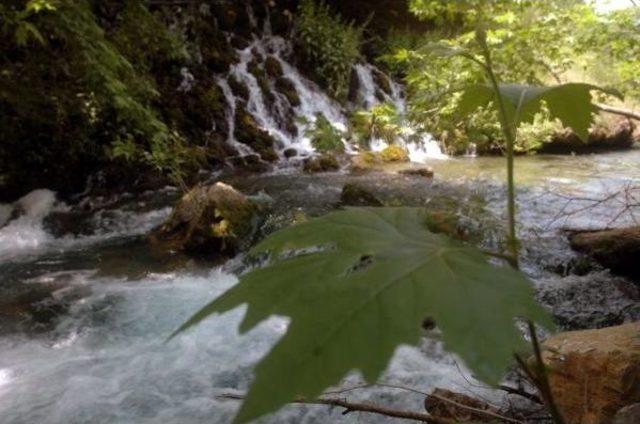 Uluslararası Kongrede 'suya Dair Herşey' Konuşulacak