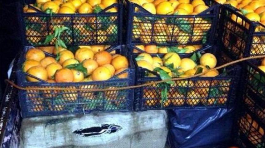 Portakal Kasalarının Altında Ka&ccedil;ak Sigara