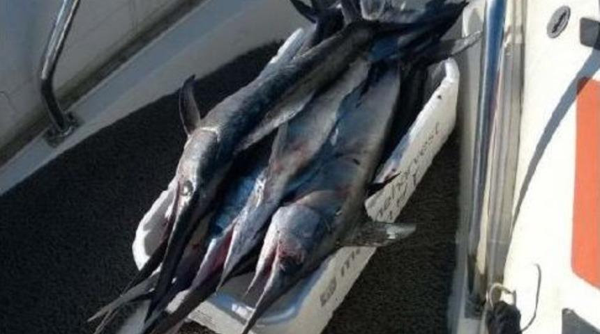 Sahil G&uuml;venlik Ka&ccedil;ak Avcıların Peşinde