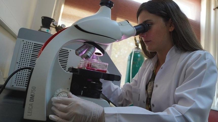 Egeli Bilim İnsanları Kolesterol&uuml; D&uuml;ş&uuml;rmek İ&ccedil;in Bir İlke İmza Attı