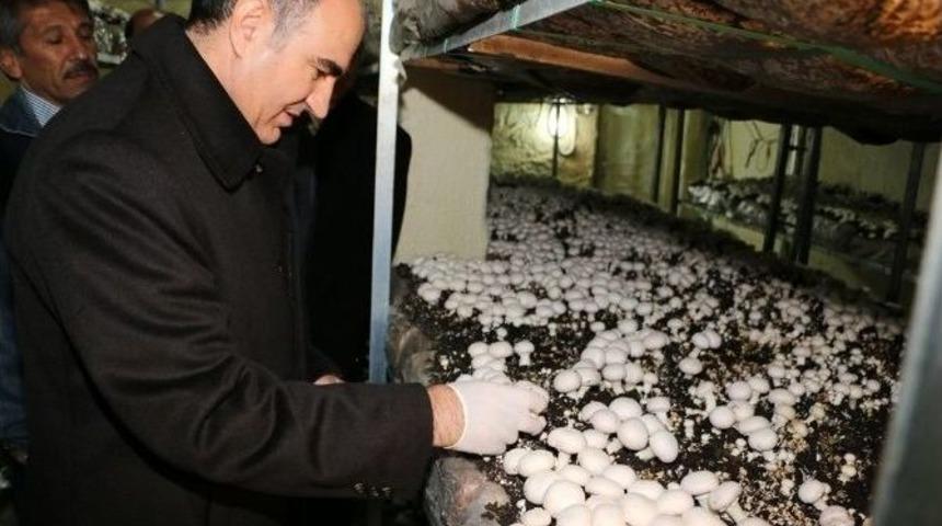 Sarıidris Ekonomide Model Oluşturdu