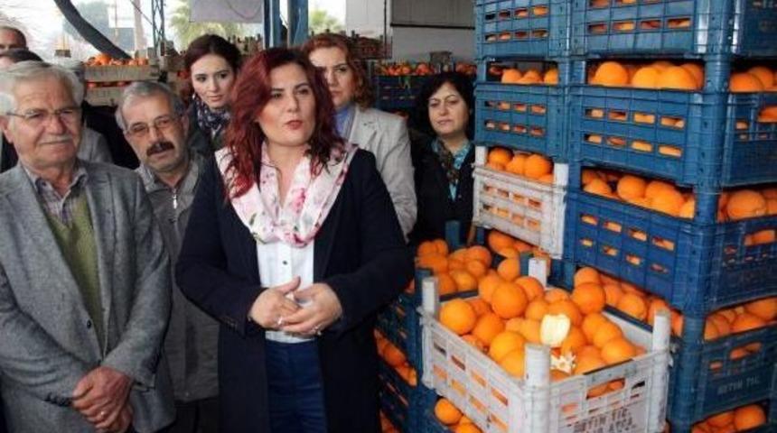 Belediyeden, Aydınlı Portakal &Uuml;reticisini Sevindiren Satın Alma