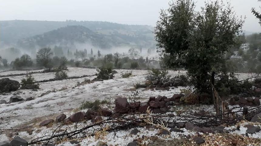 Sağanak Yağmur Ve Dolu Tarım Arazilerine Zarar Verdi