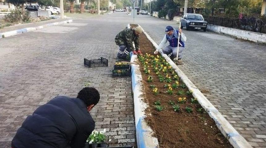 Bayındır&rsquo;ın &Ccedil;i&ccedil;ekleri Fo&ccedil;a&rsquo;yı G&uuml;zelleştirecek