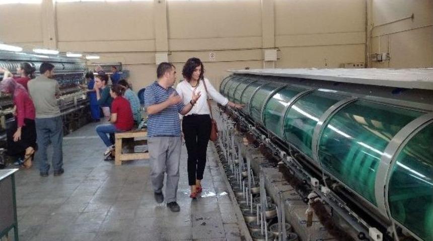 Kulp İpeğine, "silk And Cashmere" Firması Sahip &Ccedil;ıktı