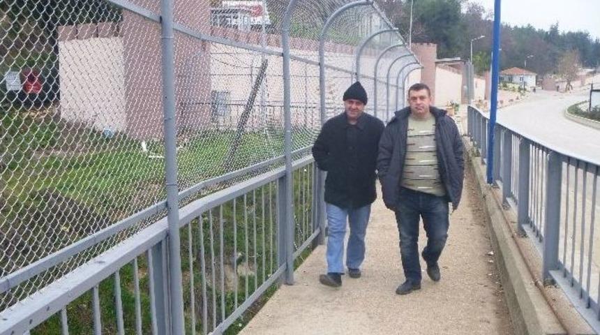 Hamsu K&ouml;pr&uuml;s&uuml;ne Tel &Ouml;rg&uuml; &Ccedil;ekildi
