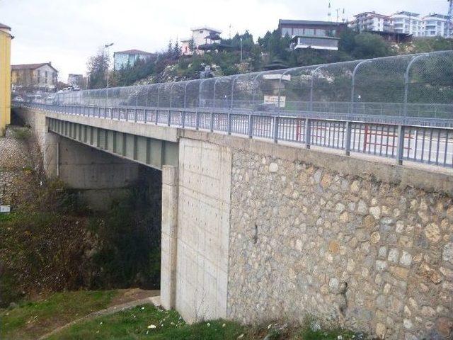Hamsu Köprüsüne Tel Örgü Çekildi 1