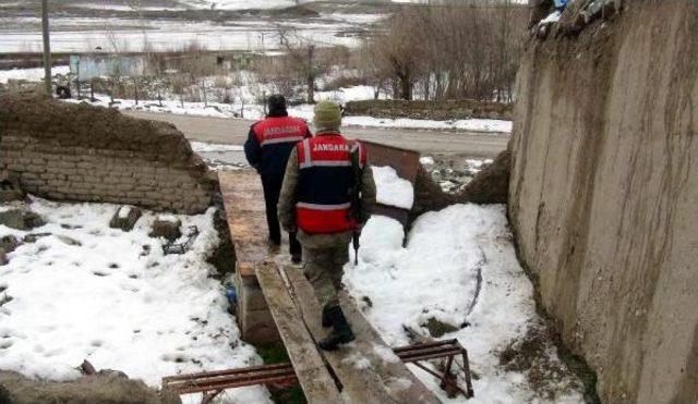 Traktörün arkasına bağlanan köpeğin sahibine para cezası 1