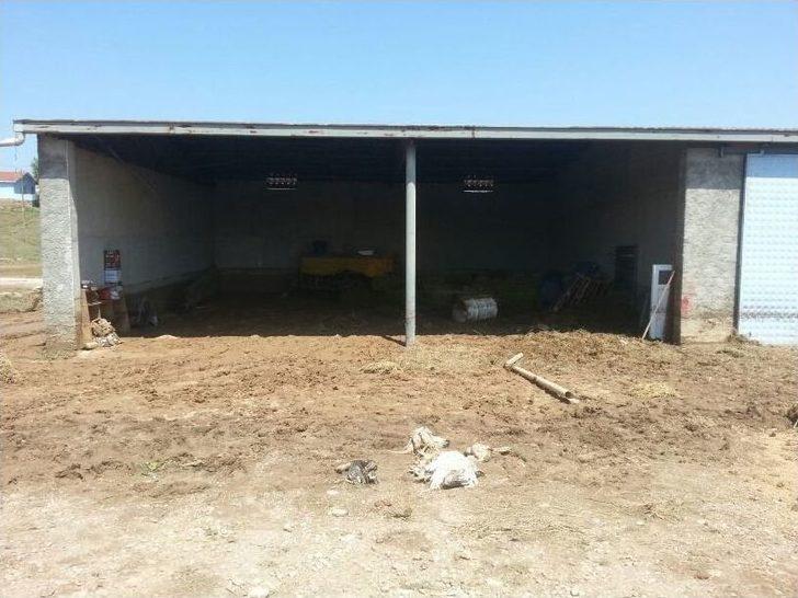 Selin Zararı Gün Ağarınca Ortaya Çıktı G5