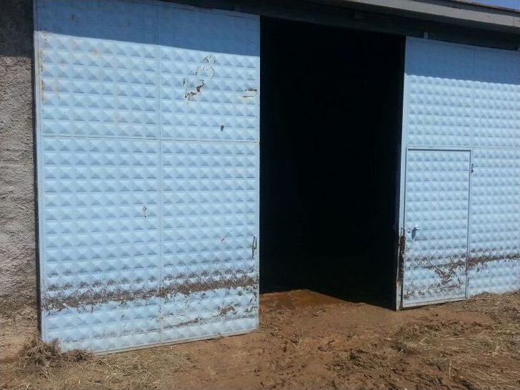 Selin Zararı Gün Ağarınca Ortaya Çıktı G1