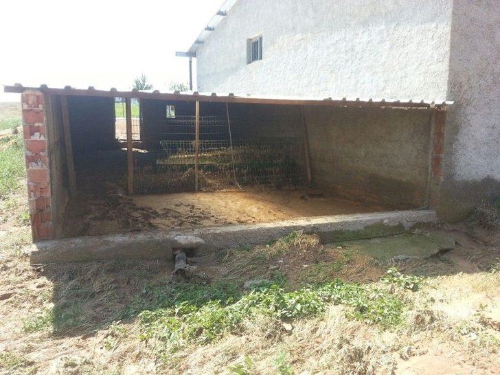 Selin Zararı Gün Ağarınca Ortaya Çıktı G2