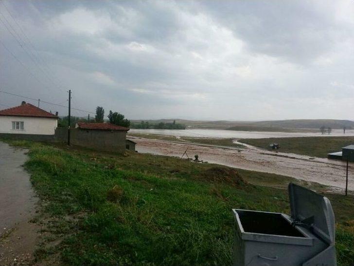 Selin Zararı Gün Ağarınca Ortaya Çıktı G3