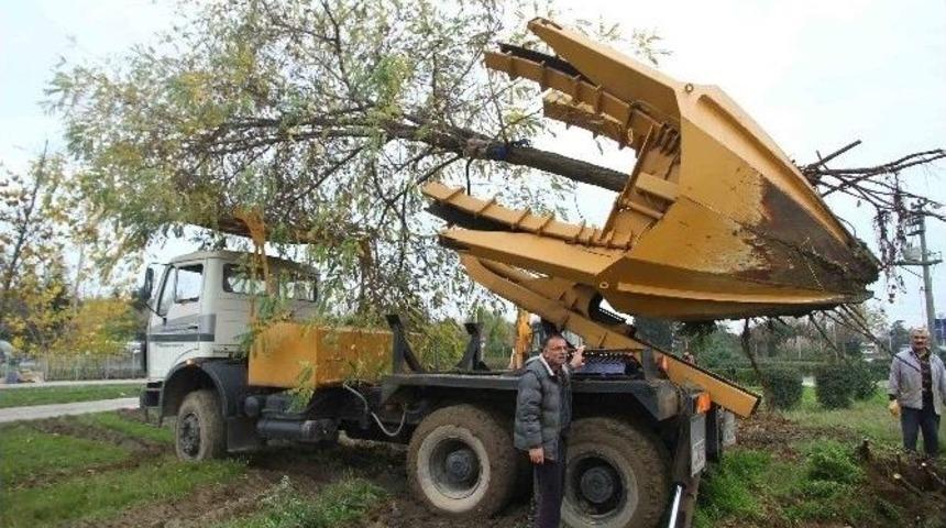 &ldquo;t&uuml;rkiye&rsquo;de Ağa&ccedil; S&ouml;kecek Teknoloji&rdquo; Yok Diyen Yalova&rsquo;ya Kocaeli&rsquo;den Cevap
