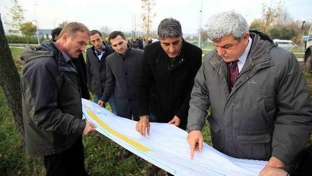 “türkiye’de Ağaç Sökecek Teknoloji” Yok Diyen Yalova’ya Kocaeli’den Cevap 1
