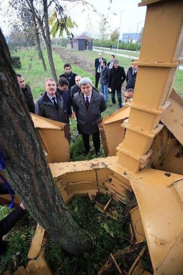 “türkiye’de Ağaç Sökecek Teknoloji” Yok Diyen Yalova’ya Kocaeli’den Cevap 2