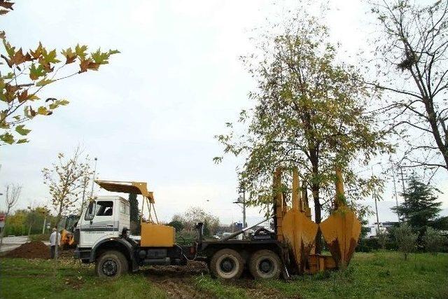 “türkiye’de Ağaç Sökecek Teknoloji” Yok Diyen Yalova’ya Kocaeli’den Cevap 3