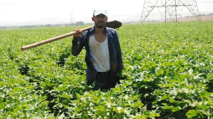 Şanlıurfalı &Ccedil;ift&ccedil;ilerin Sıcakla İmtihanı