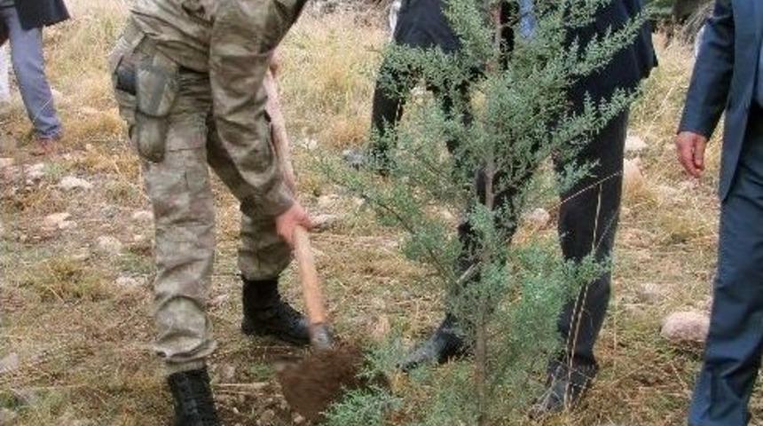 Araban Hatıra Ormanı&rsquo;na 2 Bin 500 Adet Fidan Dikildi