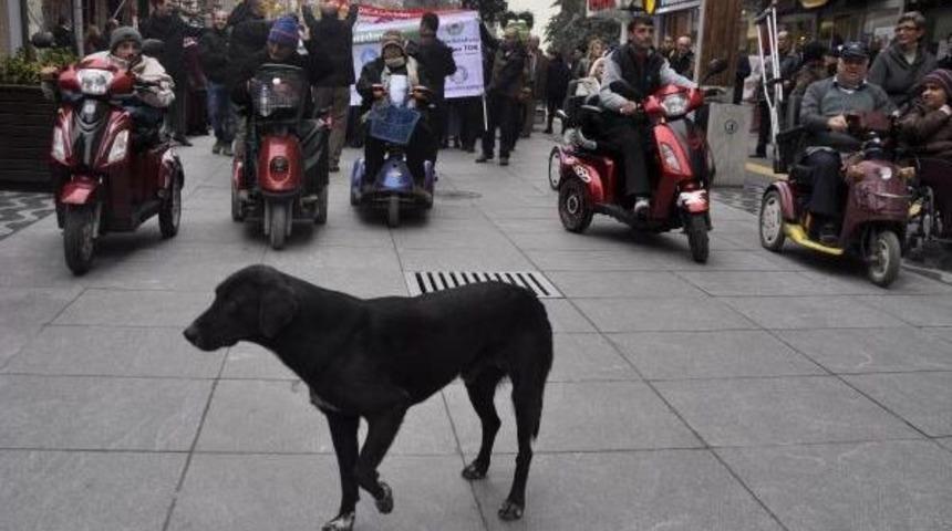 Engelli vatandaşlar engelli k&ouml;peklerle y&uuml;r&uuml;d&uuml;