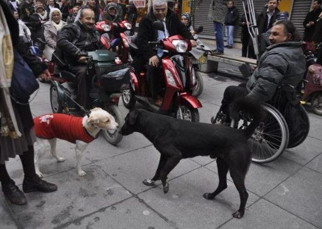 Engelli vatandaşlar engelli köpeklerle yürüdü