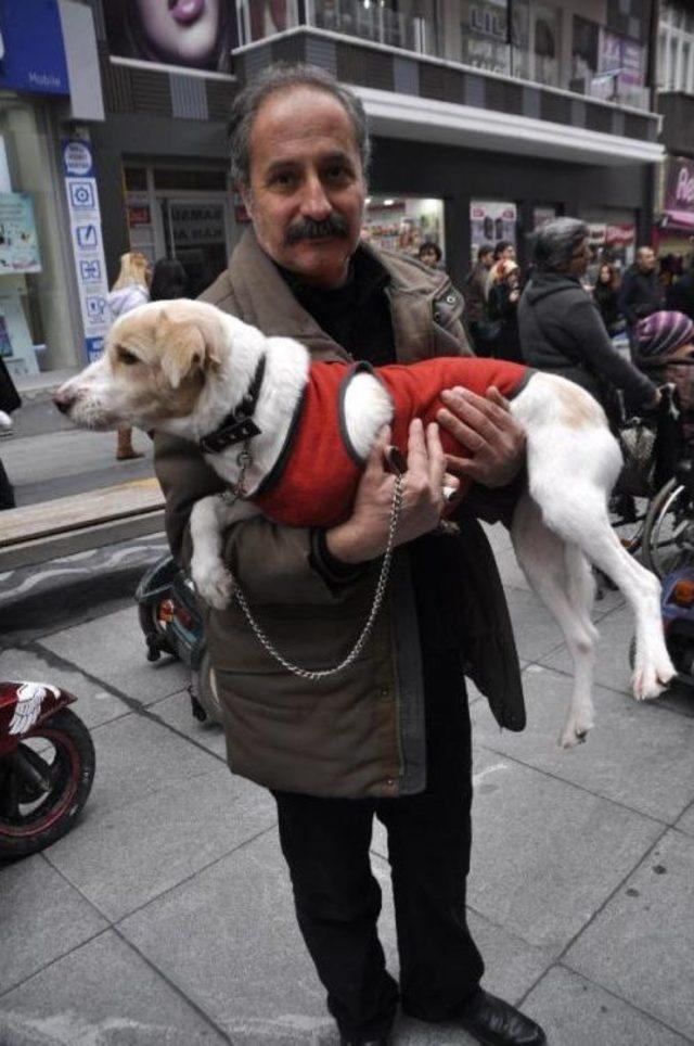 Engelli vatandaşlar engelli köpeklerle yürüdü