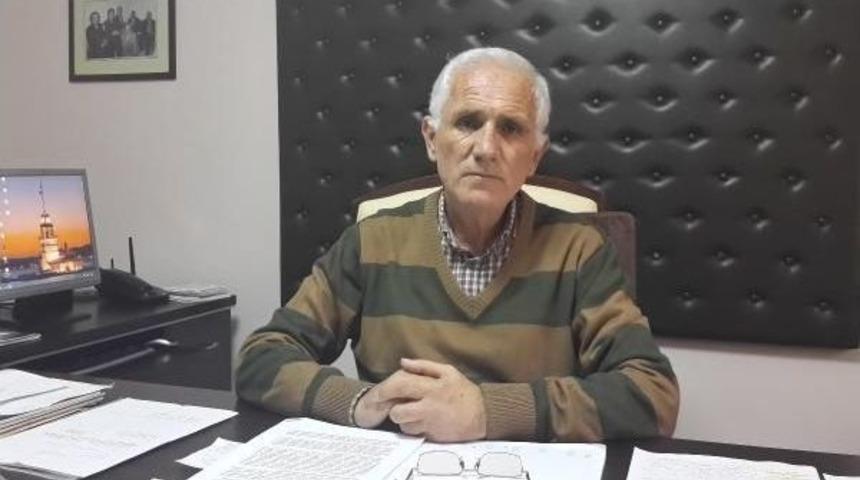 Aydın'da jeotermal i&ccedil;in zeytin ağa&ccedil;larını kestiler