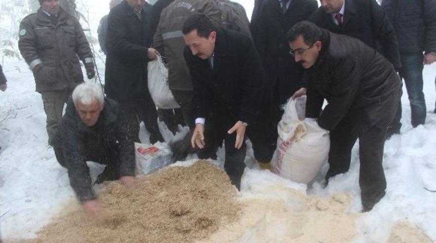 Yaban Hayvanları İ&ccedil;in Doğaya Yem Bırakıldı