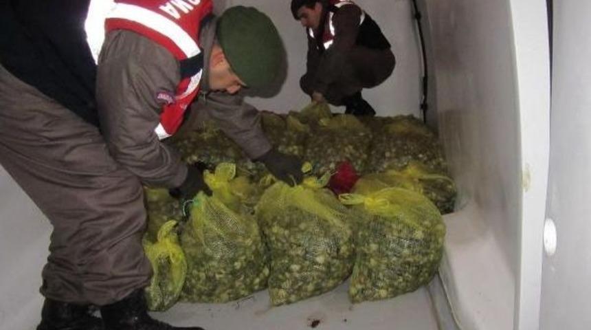 Kamyonette 1 Ton 325 Kilo Ka&ccedil;ak Midye Ele Ge&ccedil;irildi