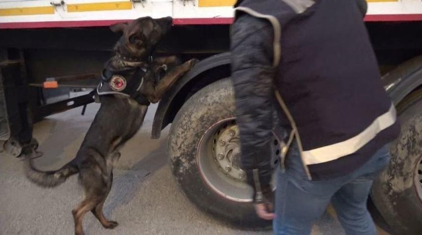 Gaziantep&rsquo;te 13 Bin 500 Paket G&uuml;mr&uuml;k Ka&ccedil;ağı Sigara Ele Ge&ccedil;irildi