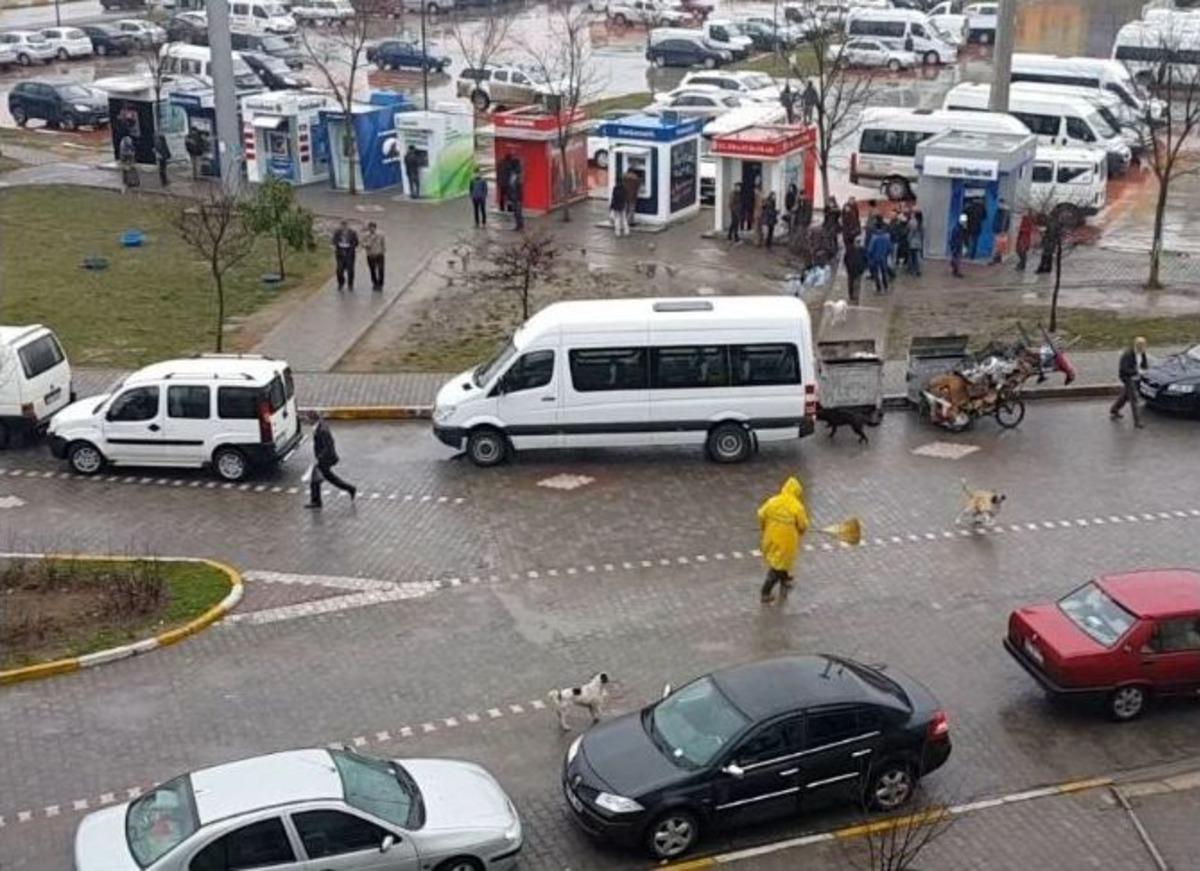 Temizlik İş&ccedil;isinin K&ouml;peklerle Zor Anları