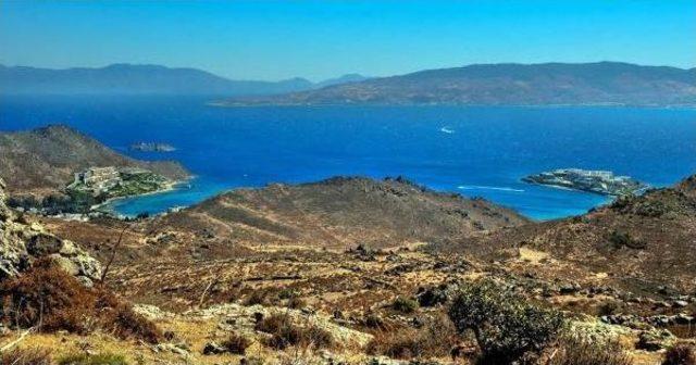 Bodrum da res tepkisi s&uuml;r&uuml;yor 3