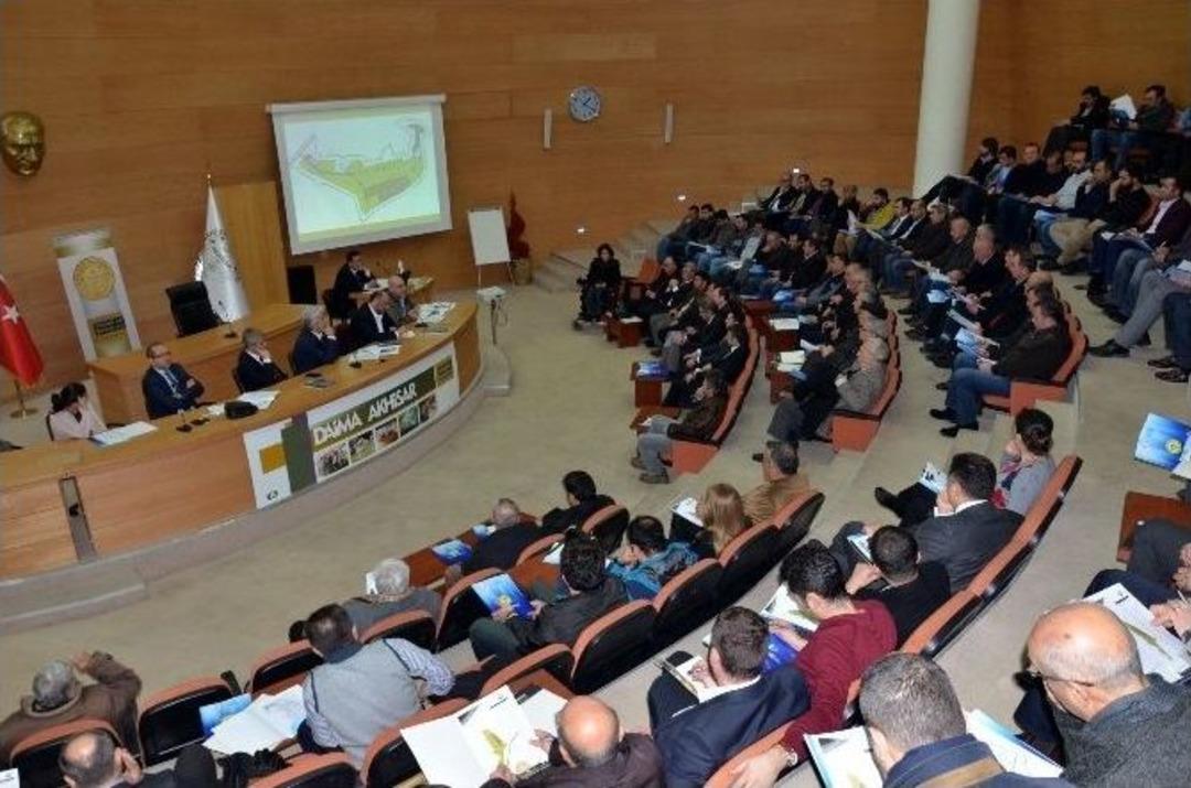 T&uuml;rkiye&rsquo;nin İlk Zeytin İhtisas Osb&rsquo;si Kuruldu