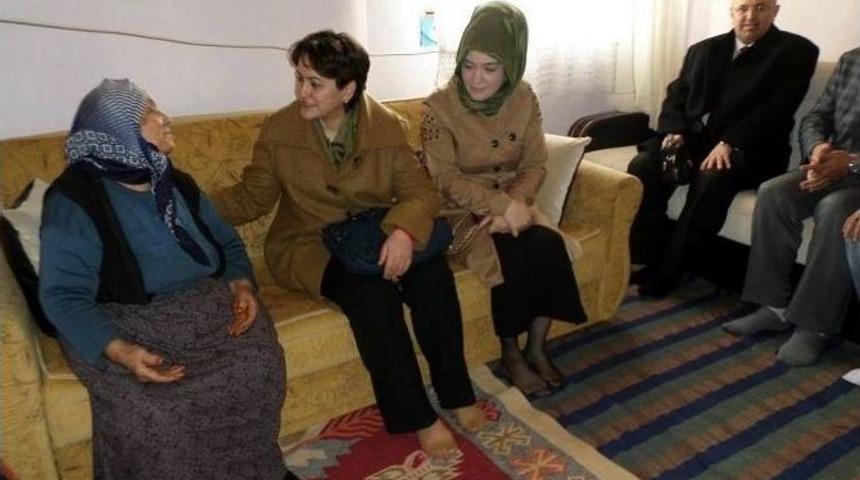 &ldquo;ulu &Ccedil;ınarlarımıza Hizmet Zamanı Projesi&rdquo; Bolvadin&rsquo;de Uygulanmaya Başlandı