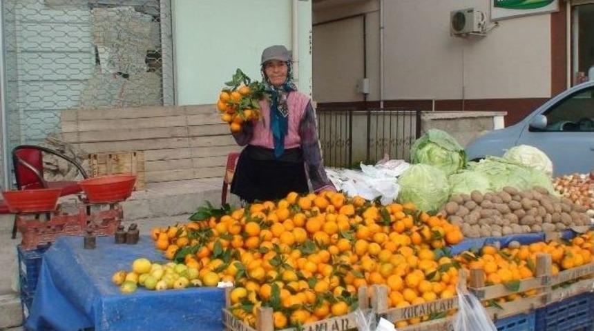 50 Yıldır Sebze Ve Meyve Satarak Ge&ccedil;imini Sağlıyor