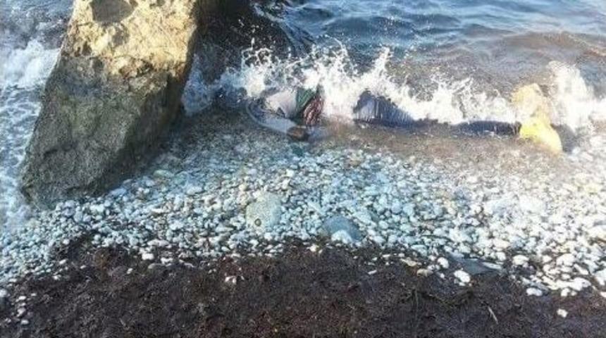 S&ouml;keli Lise &Ouml;ğrencisinin Cesedi Kuşadası&rsquo;nda Bulundu