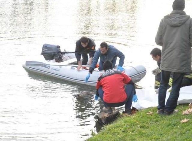 Porsuk çayı'nda bir ceset daha çıktı