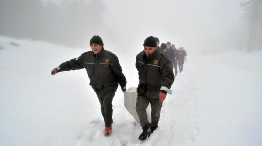 Ordu'da Yaban Hayvanları I&ccedil;in Yem Bırakıldı